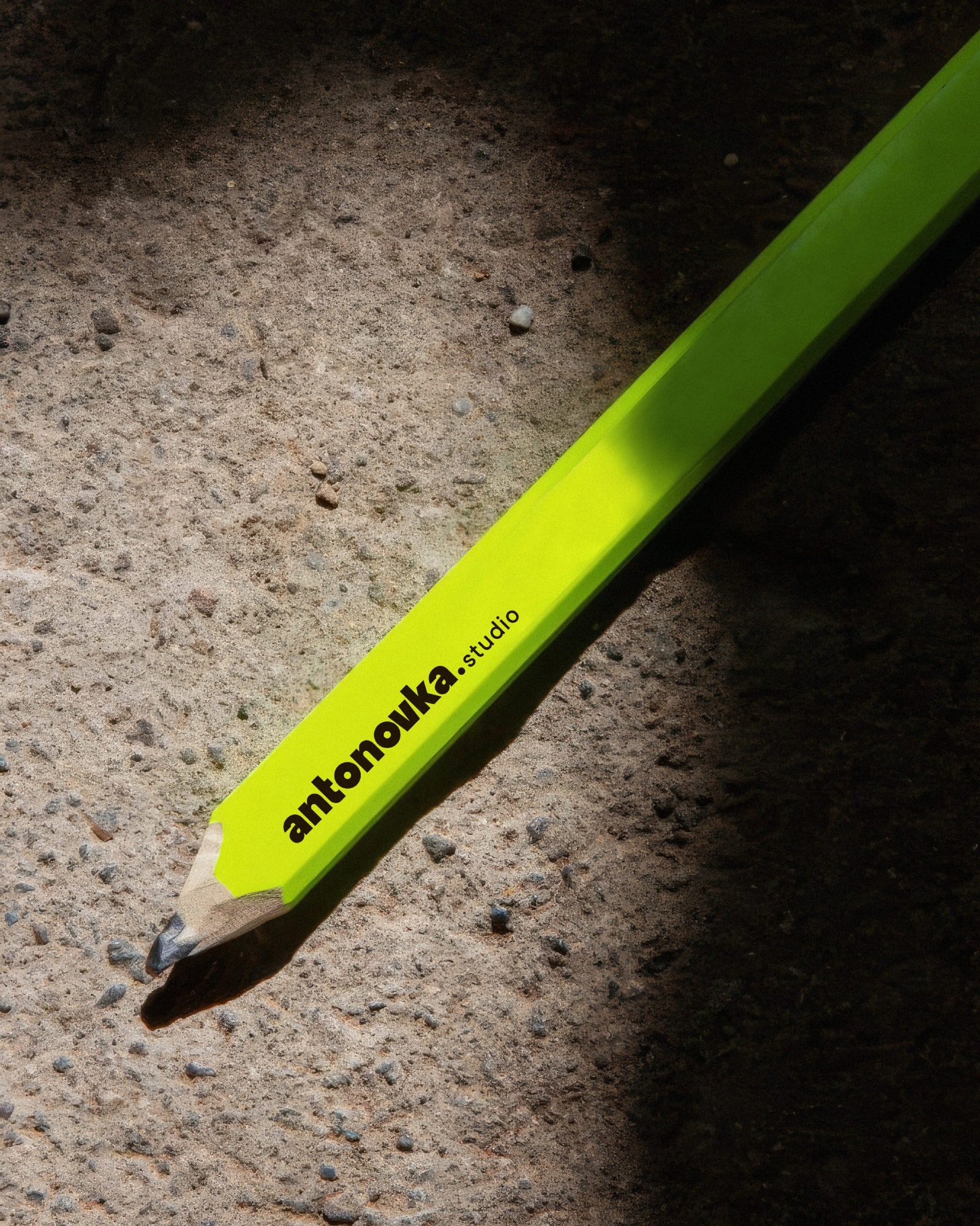 Picture of the author