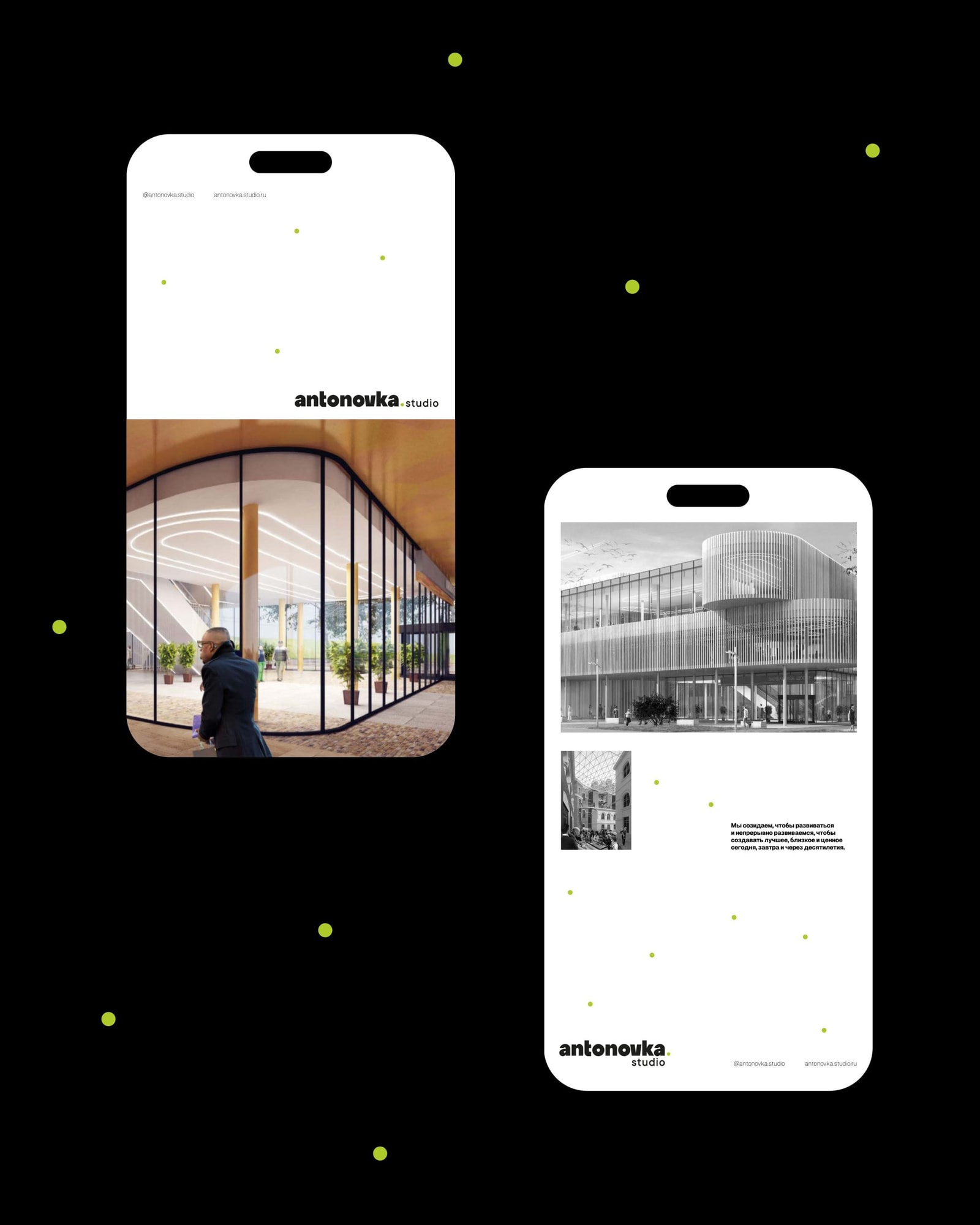 Picture of the author