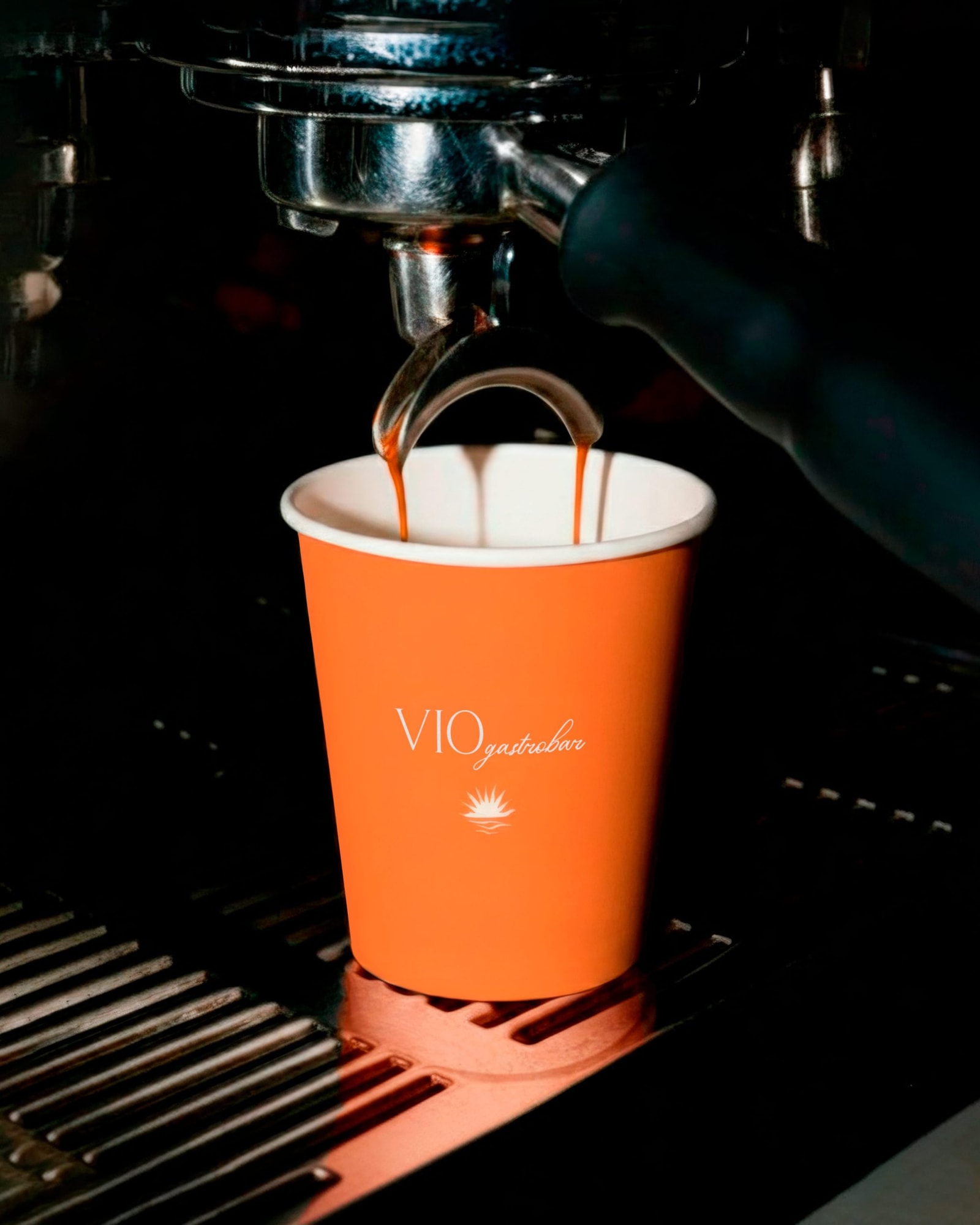 Picture of the author